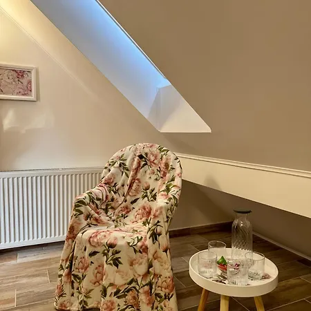 Apartment Marot *
