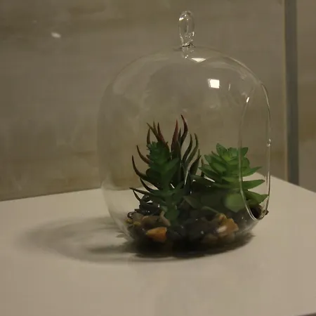 Marot * 凯斯特海伊