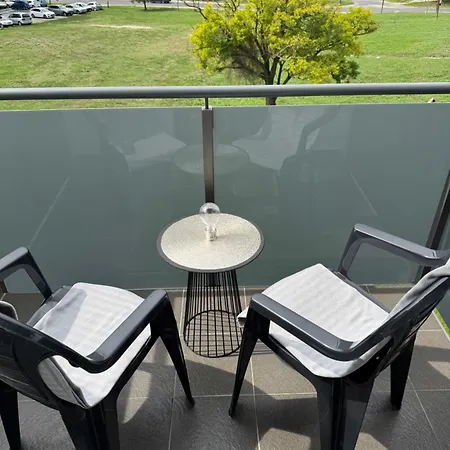 Marot * 凯斯特海伊